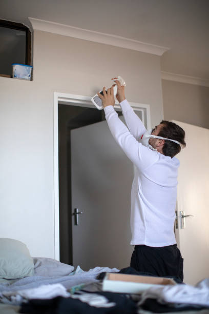 Best Black Mold Removal  in Ogallala, NE