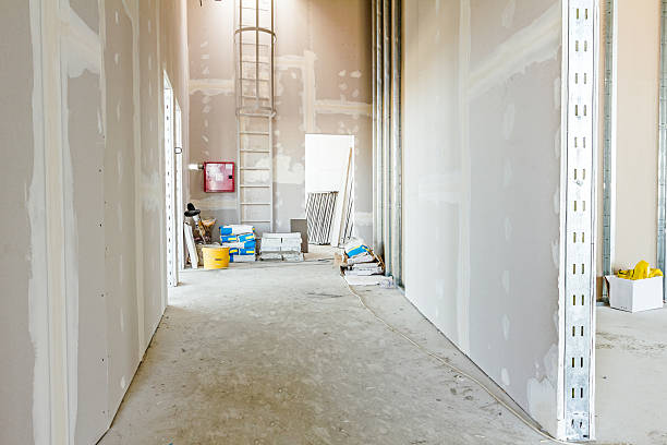 Best Mold Removal for HVAC Installations  in Ogallala, NE